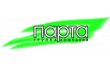 Парта